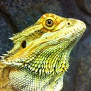 Jay Ingle - @TheIngle - Twitter