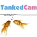 AquaGadget's profile picture. The Worlds Most Interactive Fishcam. Remote control via an iPhone or PC. Test drive the aquarium now using the above URL or point your iPhone to m.tankedcam.com