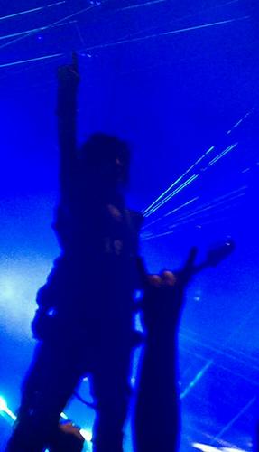 drugsgunsmoney's profile picture. wild show