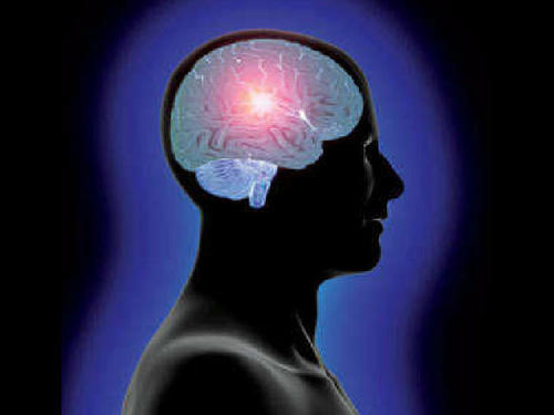 Hayquesaberlo_'s profile picture. Aquí hay información que debes almacenar en tu cerebro.