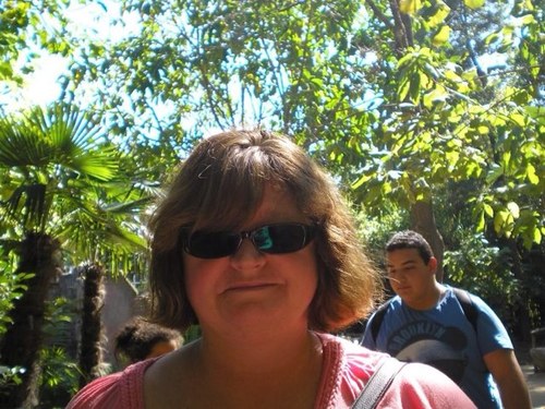 sammygoldfield's profile picture. 