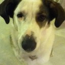 Heather Pothier - @hkpothier - Twitter