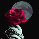 متعب الكنق (@00966552500475) Twitter