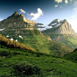 estanimiller's profile picture. 