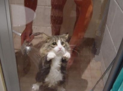 erney_omar's profile picture. soy divertido y alegre