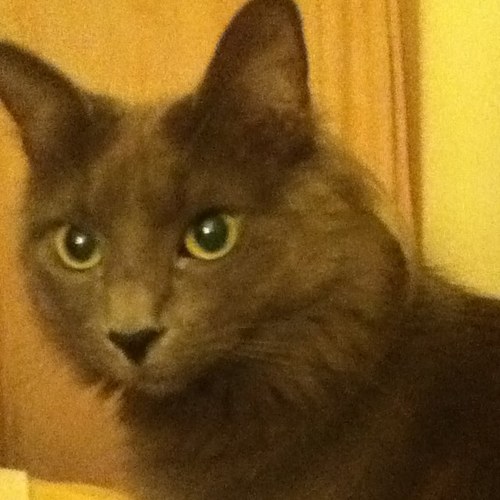 WelchTim's profile picture. 