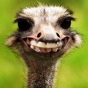 teresa rust - @libertybell63 - Twitter