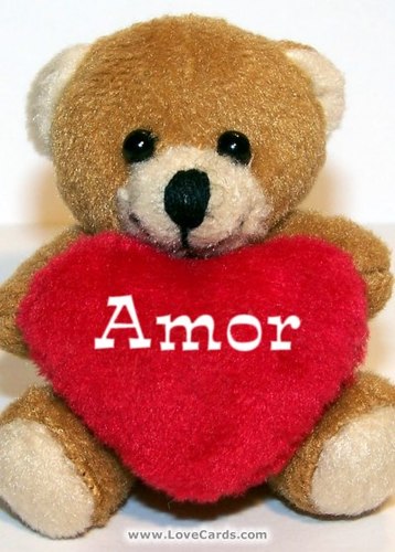 SIGUEME Y TE SIGO
FOLLOWBACK