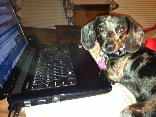 HunterBchhunter's profile picture. 