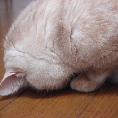 Satoru Uedaのプロフィール写真