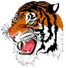 sportsfan175's profile picture. Black and Gold forever! #herewego #stairwayto7