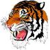 Tiger Jeffries (@sportsfan175) Twitter profile photo Tiger Jeffries (@sportsfan175) Twitter profile photo