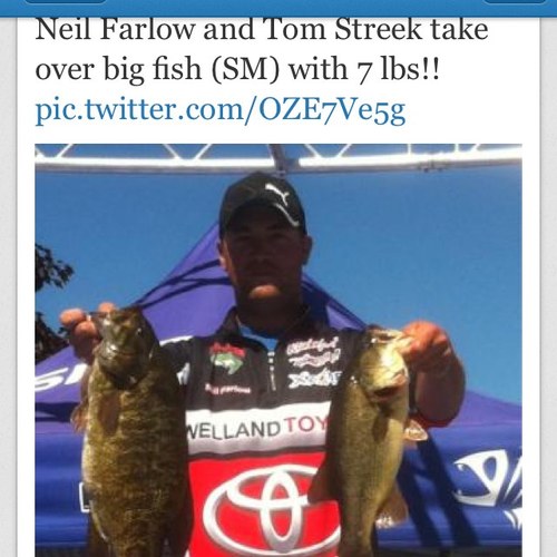 FarlowNeil's profile picture. 