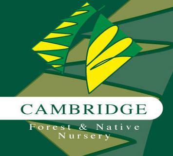 Cambridge Forest & Native Nursery in Cambridge, New Zealand