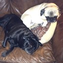 Carly Park - @carlypark06 - Twitter