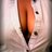 Hornybunnyxxx's profile image