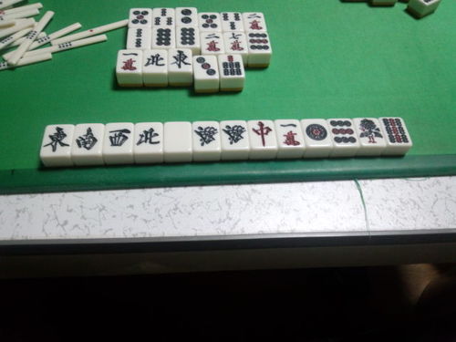 appe_lol's profile picture. 麻雀 登山 LOL FF14 MH ぷよテト(やりたい) 動物全般