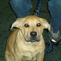 Scott S. (@scottazzza) 's Twitter Profile Photo