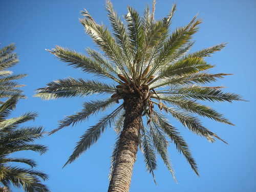 PuertoMazarron's profile picture. 