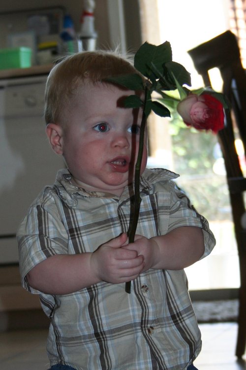 hocker2's profile picture. 