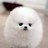 yhunadu's profile image