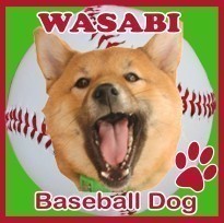 ⚾わさび⚾さんのプロフィール画像