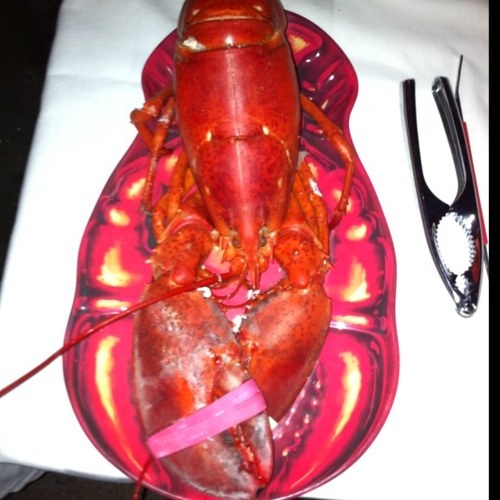 heintzmarge's profile picture. Firm believer in Ethereum's potential, HODLing for a decentralized tomorrow. Supporting the evolution of finance through blockchain technology. ???? #ETHBelieve