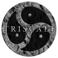 TRISCALE(@triscale) 's Twitter Profile Photo