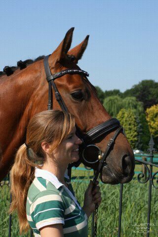 eigen #dressuurstal MH Stables. Train #paarden en geef clinics en #training. Daarnaast ben ik #dressuur jury.
#ondernemer #KNHS #zzp #horse