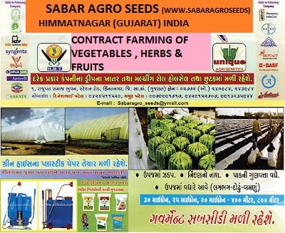 seeds export & inport green house seeds tray and cocofeeds,