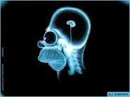 xcastella's profile picture. 