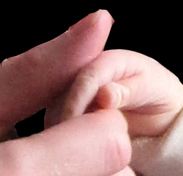 StayAtHomeDead's profile picture. I say it so you don't have to. You're welcome!