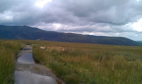 21Simwit's profile picture. 