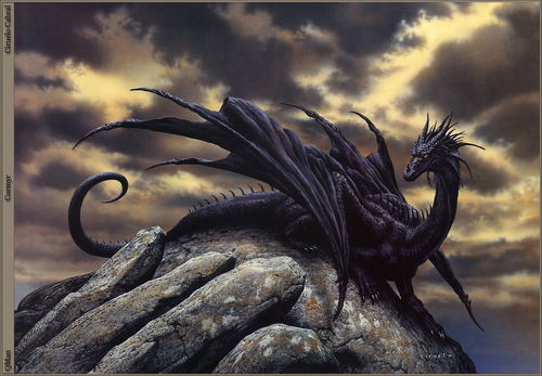 ssokolik0's profile picture. 