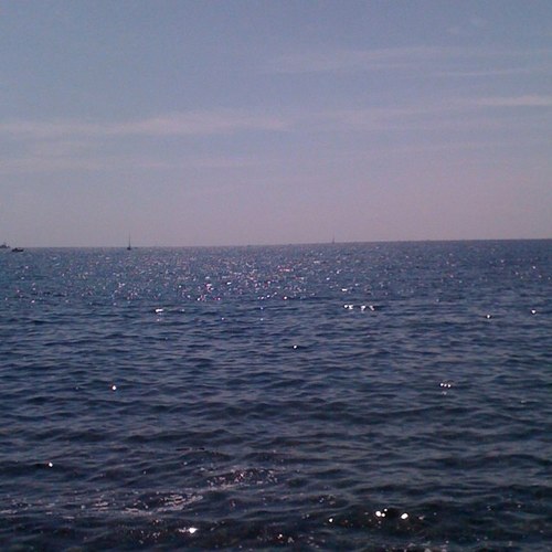 siorac30059's profile picture. 