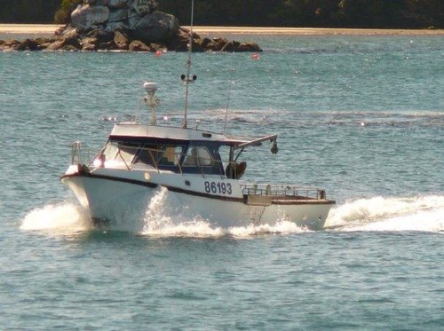 Fishing & Hunting Charters, Pelagic Bird Charters, Ulva Island Guided walks, Around the Bay Guided walks & School Groups NZ Stewart Island