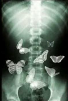 MariaAndersen04's profile picture. 