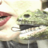 TheWoosterGroup's profile image