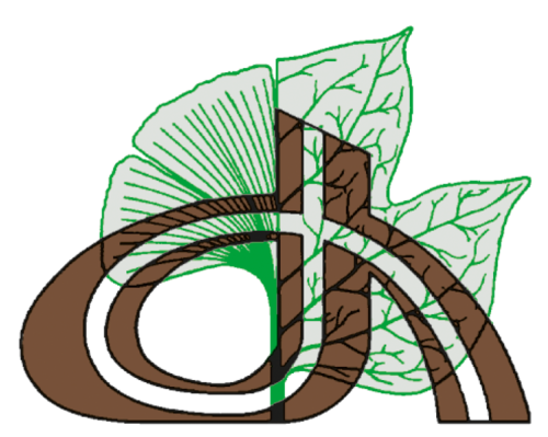 VivaiArcangeli's profile picture. 