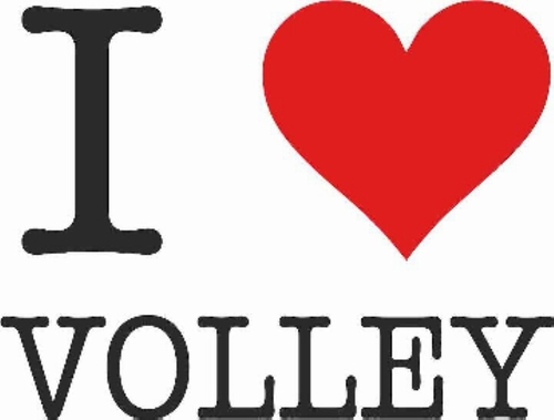 il sito web per chi ama la pallavolo