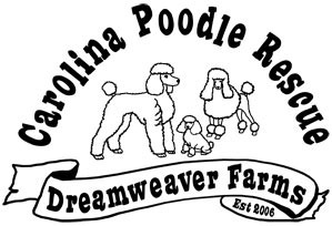 Carolina Poodle Rescue is a no-kill/limited entry private rescue group; we believe and support the No More Homeless Pets and spay/neuter initiatives.