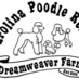 CPR Poodle Rescue (@cpoodlerescue) Twitter profile photo CPR Poodle Rescue (@cpoodlerescue) Twitter profile photo