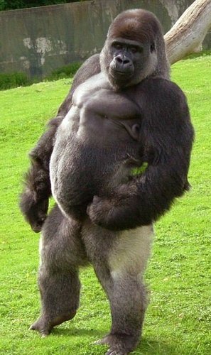 Mac_MLJ's profile picture. If I offend you then you can at least be content with the knowledge that you weren't the first and you certainly won't be the last