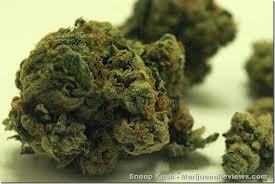 Puff, Puff, Pass.  Live everyday like 4/20 ;)