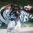Nabil tigre (@tigre_nabil7) Twitter profile photo