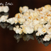 Profile Picture of G'Pops Kettle Corn (@gpopskettlecorn) on Twitter