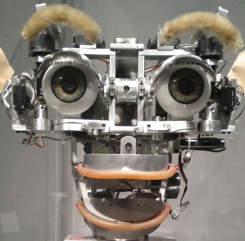 rendoaw's profile picture. 