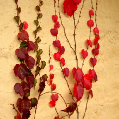 sophist2300's profile picture. 자유민주주의를 꿈꾸며