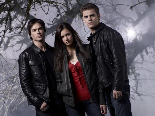 Pour les Fans de la série Vampire Diaries. 
Comptes non officiel, je suis juste une fan qui veut parler à d'autre fans.