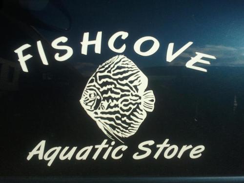 Owner of Fishcove tropical fish shop in Warrington, Cheshire,UK,